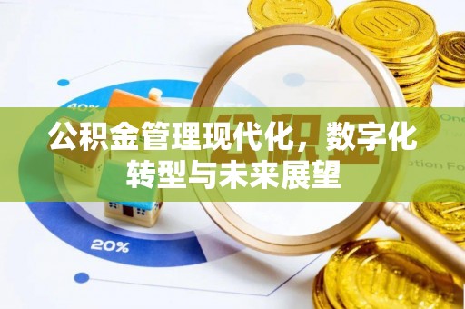 南县公积金管理现代化，数字化转型与未来展望
