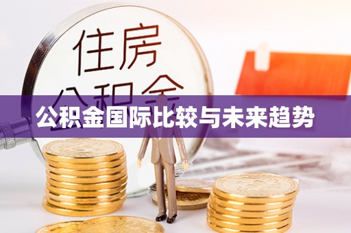 南县公积金国际比较与未来趋势