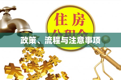 南县政策、流程与注意事项