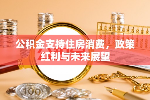 南县公积金支持住房消费，政策红利与未来展望