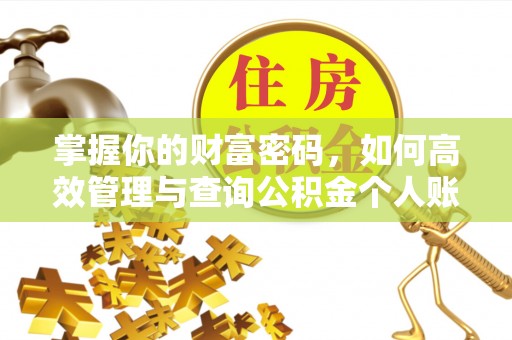 南县掌握你的财富密码，如何高效管理与查询公积金个人账户信息