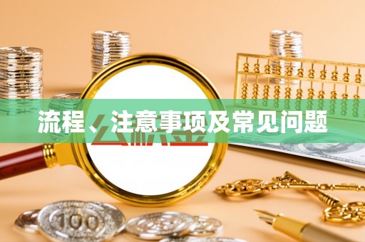 南县流程、注意事项及常见问题